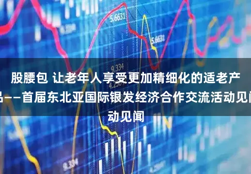 股腰包 让老年人享受更加精细化的适老产品——首届东北亚国际银发经济合作交流活动见闻