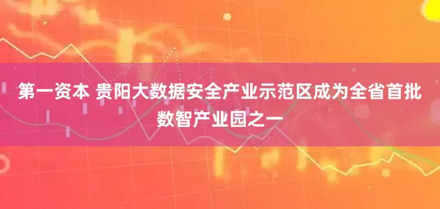 第一资本 贵阳大数据安全产业示范区成为全省首批数智产业园之一